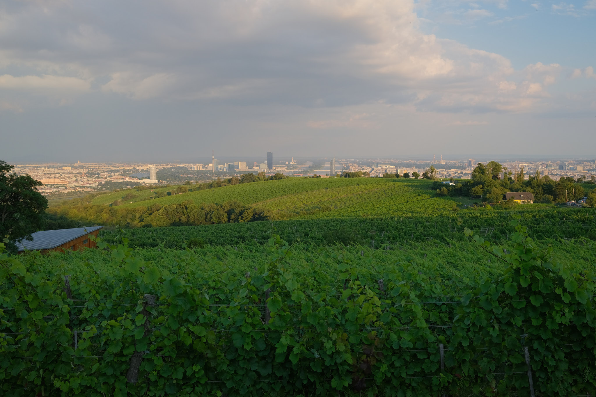 ThomasUnterberger_superberg_alle_achtung_DSCF0359