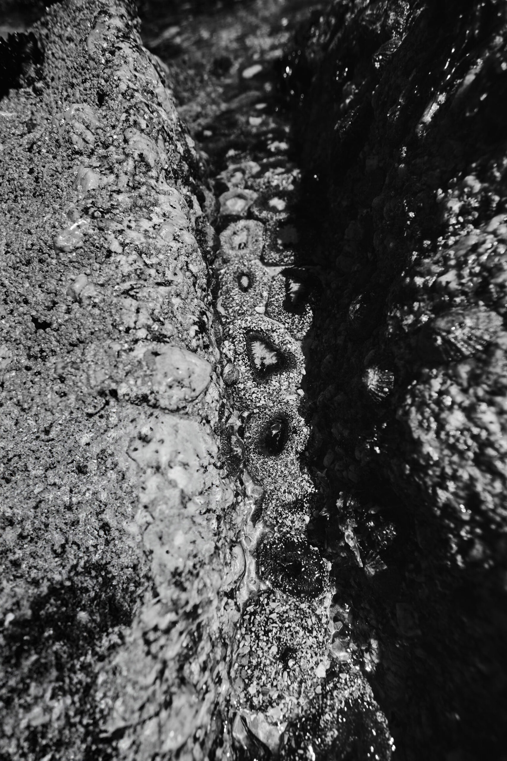 ThomasUnterberger_poetryoftheshores_8I8A0655 Kopie ThomasUnterberger_poetryoftheshores_8I8A0655 Kopie